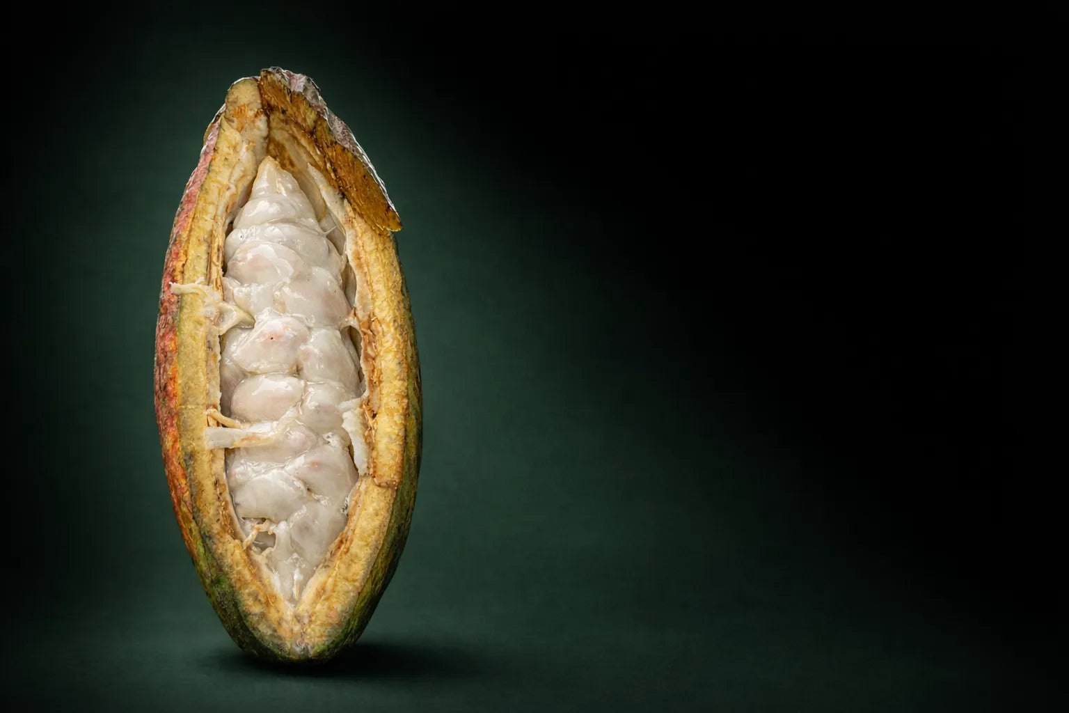 Cacao Colab · marketplace y academia de cacao